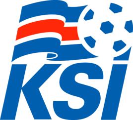 冰島國家男子足球隊 冰島國家男子足球隊