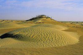 新疆羅布泊小河墓地 新疆羅布泊小河墓地