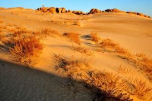 莫德爾沙地 莫德爾沙地