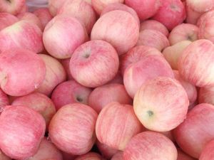 煙臺蘋果 煙臺蘋果