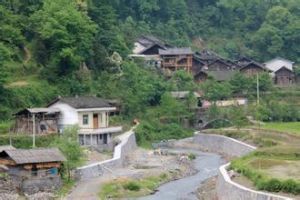 白楊坪村 白楊坪村