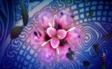 萬里長城最新OP