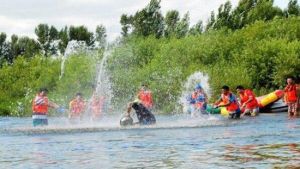 紅豆杉漂流 紅豆杉漂流