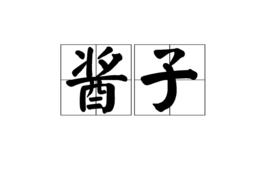 醬子[詞語]