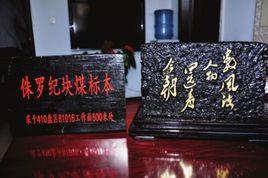 侏羅紀煤 侏羅紀煤