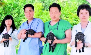 韓國成功克隆出4頭“嗅癌犬”
