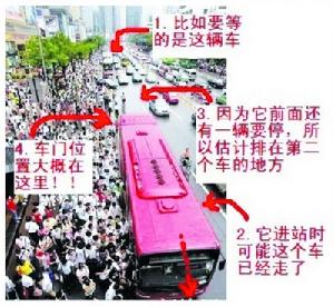 擠公交寶典 擠公交寶典