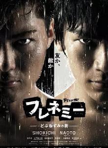 亦敵亦友[2013年大冢恭司執導電視劇]