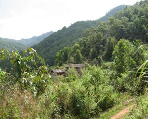 慢樂自然村 慢樂自然村