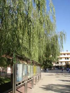 寧夏經貿職業技術學院