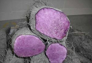 紫山藥色素 紫山藥色素