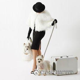 有我一直陪著你 有我一直陪著你