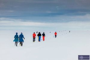 南極馬拉松比賽圖片