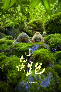 小白快跑 小白快跑