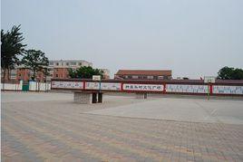 新壘頭鎮 新壘頭鎮