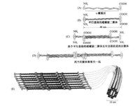 中間纖維組裝過程模式圖