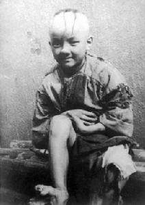 三毛[漫畫三毛流浪記主人公]