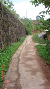 新壩埂村 新壩埂村