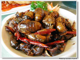 辣炒知了猴 辣炒知了猴