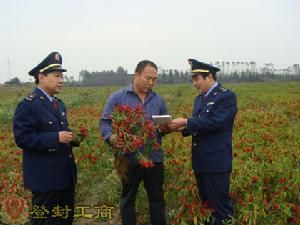 西劉碑村 西劉碑村
