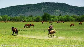 堯王牧馬場 堯王牧馬場