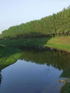 東洪鎮南徐村 東洪鎮南徐村