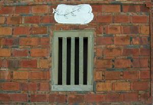 連枝帶葉---開枝散葉