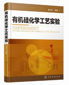 有機矽化學工藝實驗 有機矽化學工藝實驗