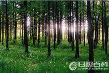 日照山海天省級旅遊度假區