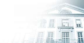 德國布魯赫薩爾股份有限公司國際大學 德國布魯赫薩爾股份有限公司國際大學