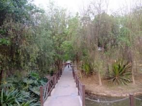 威遠鎮新平村 威遠鎮新平村