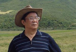 雷達[中國作家協會創研部主任]