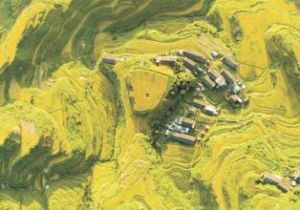 連南瑤族自治縣  