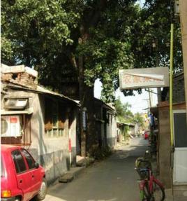 西新帘子胡同 西新帘子胡同