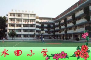 水田國小 水田國小
