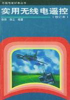 實用無線電遙控 實用無線電遙控
