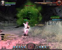 聖光十字 相關資料