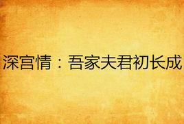 深宮情:吾家夫君初長成 深宮情:吾家夫君初長成