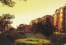 濱海首府 濱海首府