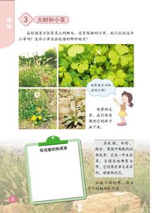 《大樹和小草》1