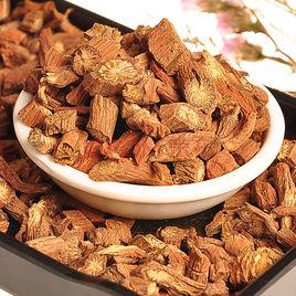 丹參[雙子葉植物唇形科植物]