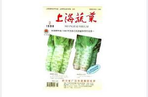 上海蔬菜 上海蔬菜