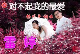 對不起我的最愛