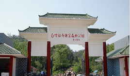 白竹園寺 白竹園寺