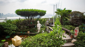 “空中花園”
