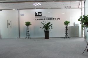 山東維固信息科技股份有限公司 山東維固信息科技股份有限公司