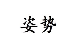 姿勢[詞語釋義]