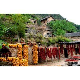 塔爾坡村 塔爾坡村