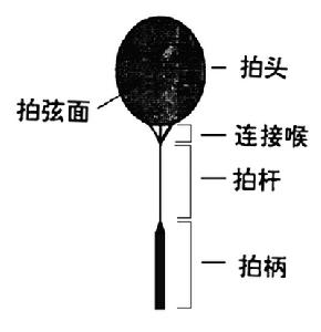 《羽毛球競賽規則》