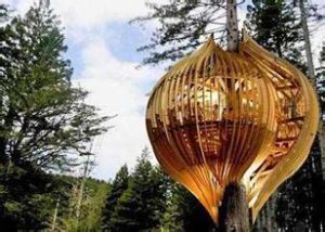 黃色樹屋 黃色樹屋